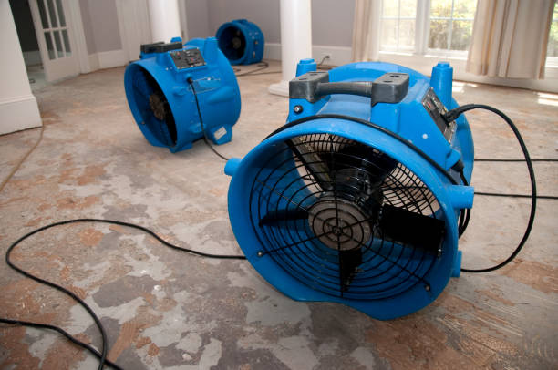 Arbutus, MD Water damage restoration Company