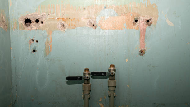Best Water damage cleanup near me  in Arbutus, MD