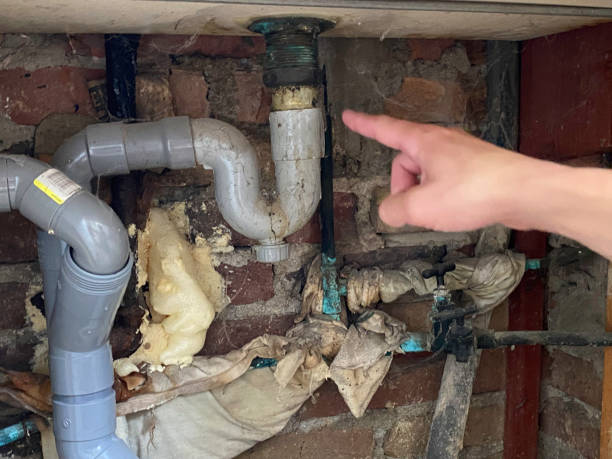  Arbutus, MD Water damage restoration Pros