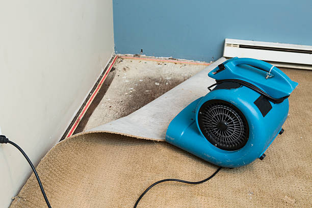 Best Water damage restoration near me  in Arbutus, MD